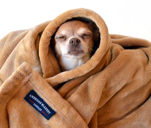 FREE Pet Blanket